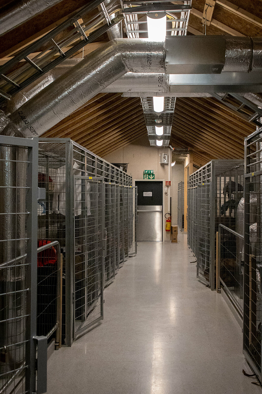 Click image for larger version

Name:	229829.jpg?imageId=229829&amp;x=0&amp;y=0&amp;cropw=99.812558575445&amp;croph=100&amp;width=1065&amp;height=1601.jpg
Views:	220
Size:	747,0 KB
ID:	1061189