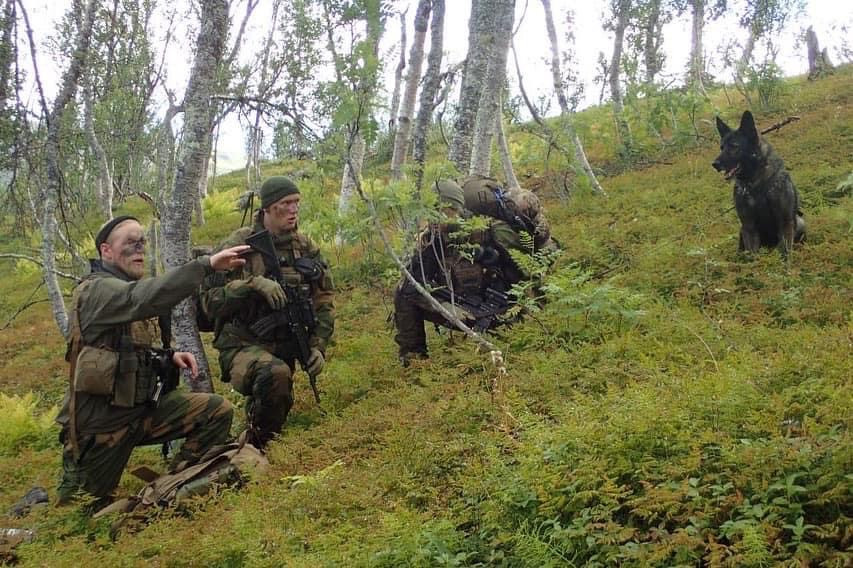 Click image for larger version

Name:	03EA8EF7-1C5F-4252-B686-C43700D13746.jpg
Views:	620
Size:	186,6 KB
ID:	1084610