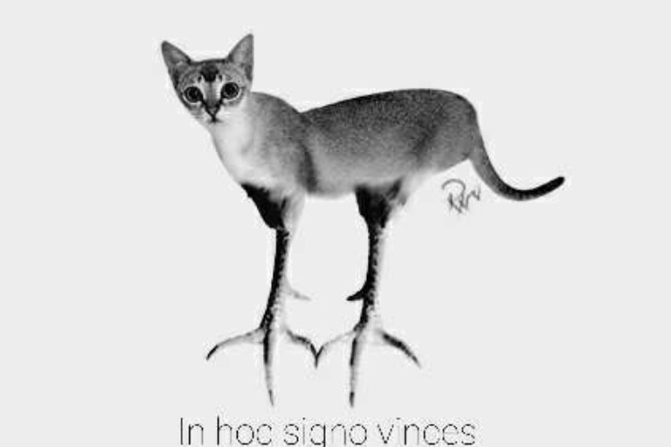 Click image for larger version

Name:	IMG_0465.jpg
Views:	1443
Size:	33,3 KB
ID:	1121468