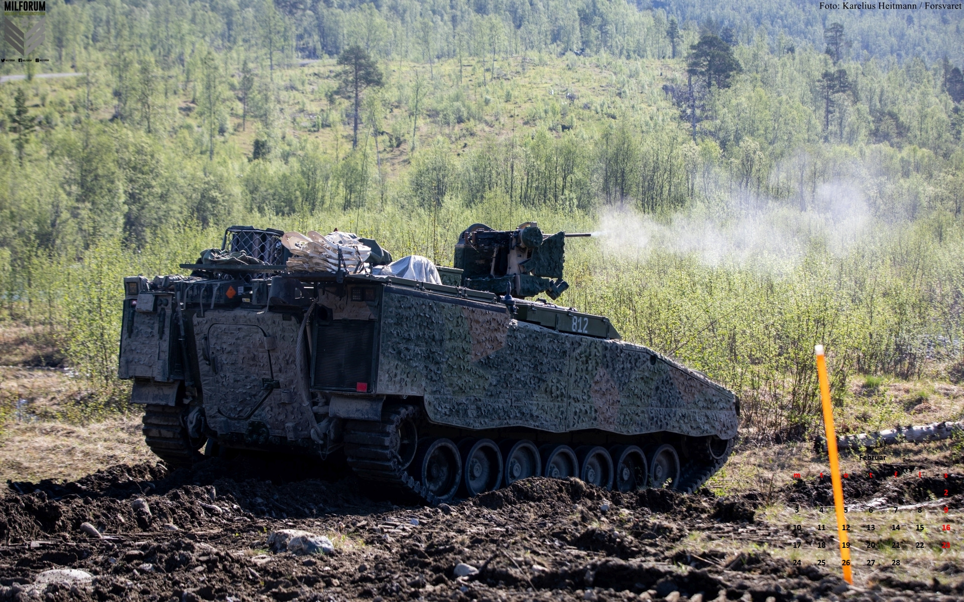 Click image for larger version

Name:	CV90-Sting_1920X1200.jpg
Views:	70
Size:	1.016,1 KB
ID:	1140503