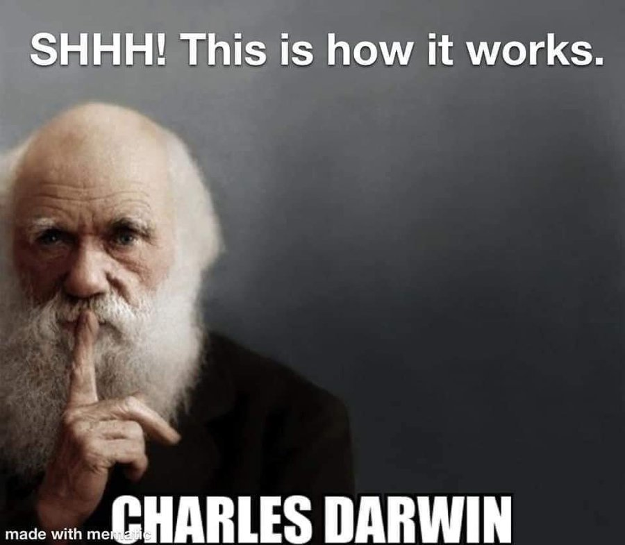 Click image for larger version

Name:	image.png
Views:	74
Size:	392,8 KB
ID:	1157130