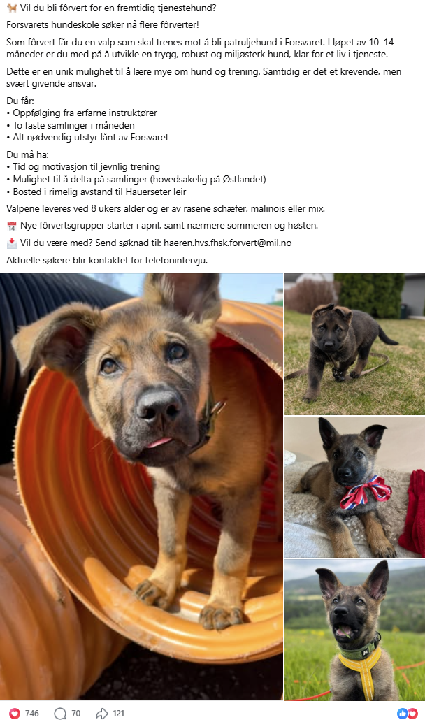 Click image for larger version

Name:	FHSK.png
Views:	58
Size:	645,6 KB
ID:	1163882