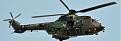 Click image for larger version

Name:	cougar-helicopter-crash-two-people-killed_crop.jpg
Views:	399
Size:	95,7 KB
ID:	1030863