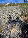 Click image for larger version

Name:	Kamuflasje.jpg
Views:	30
Size:	1,35 MB
ID:	1165872
